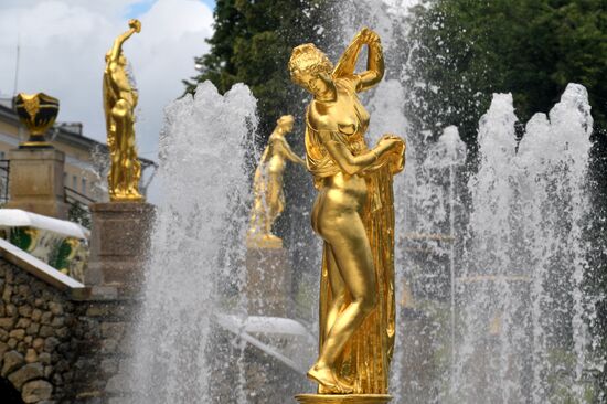 Подготовка к открытию фонтанов в Петергофе
