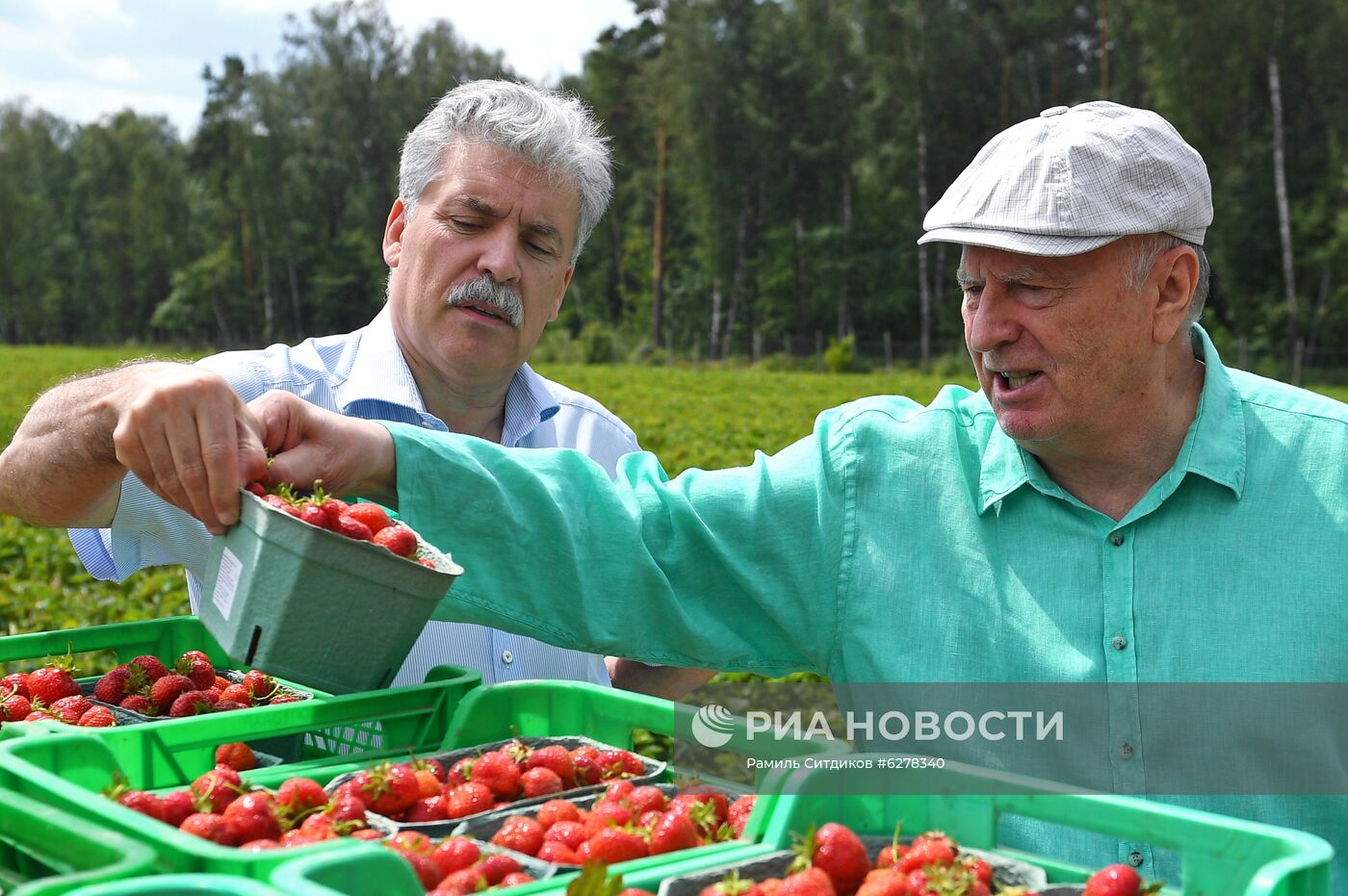 Сбор клубники в Совхозе им. Ленина 