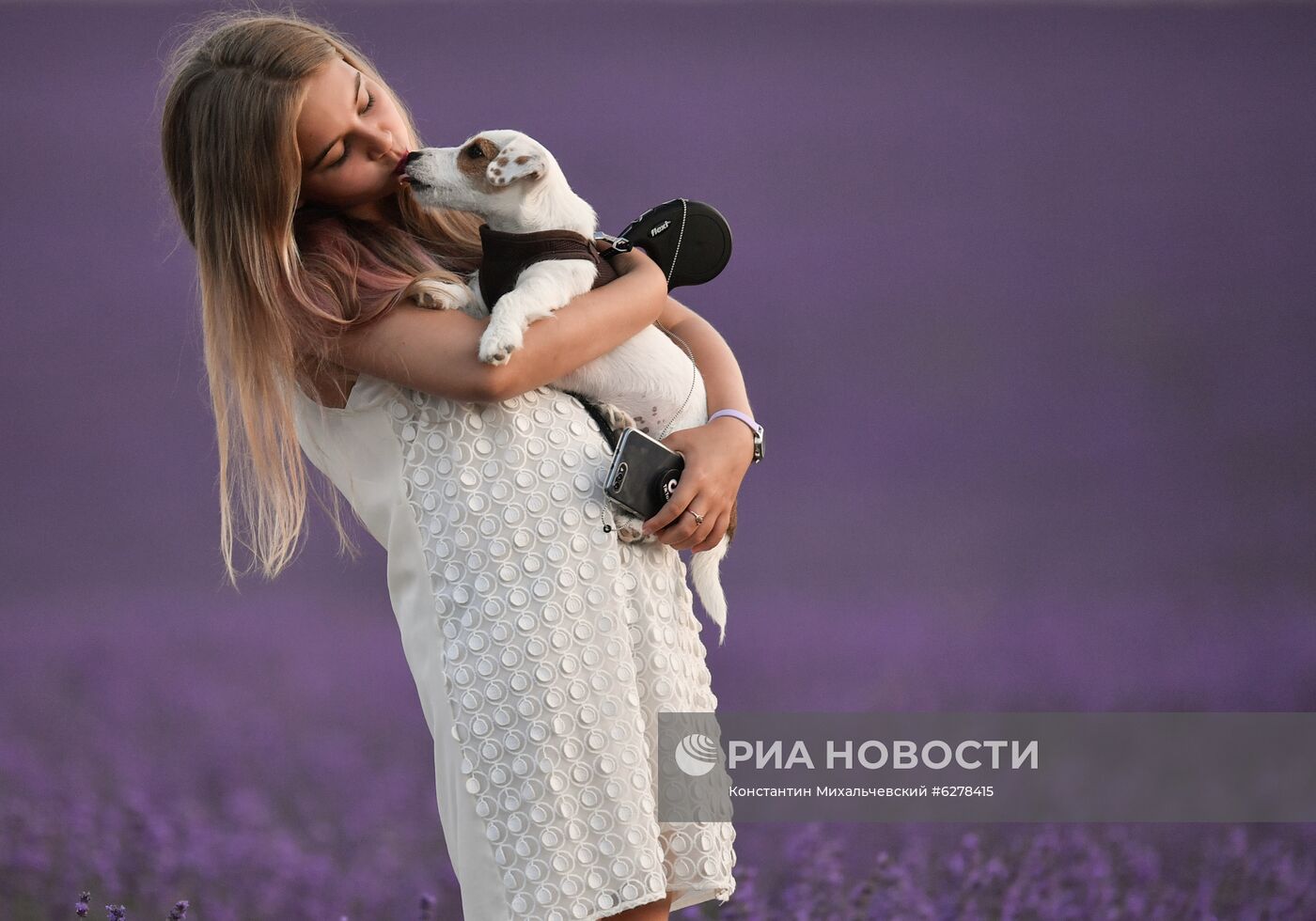 Лавандовые поля в Крыму