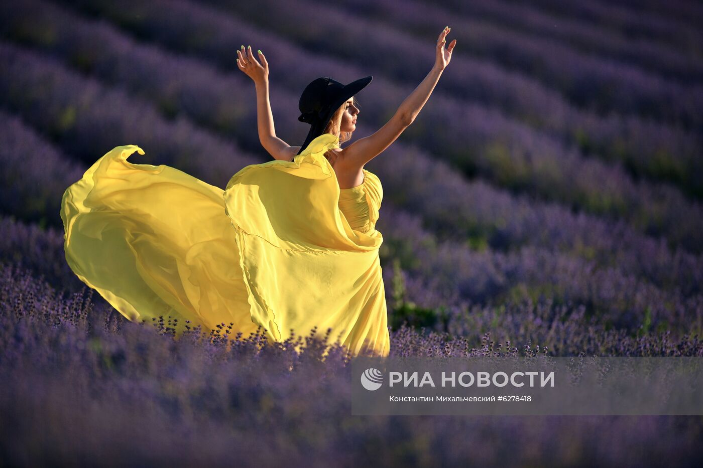 Лавандовые поля в Крыму