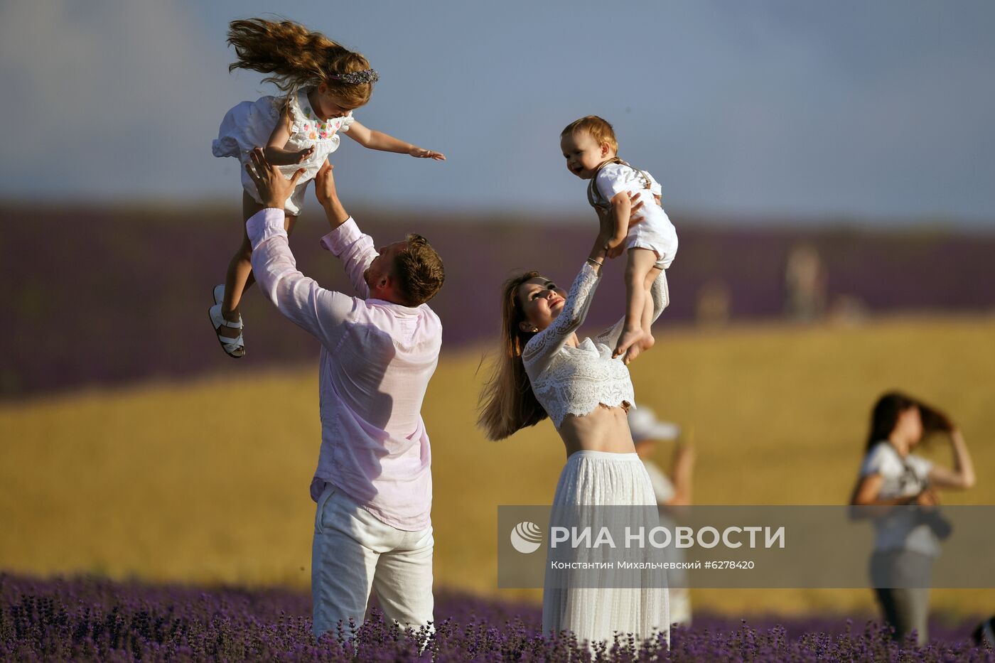 Лавандовые поля в Крыму