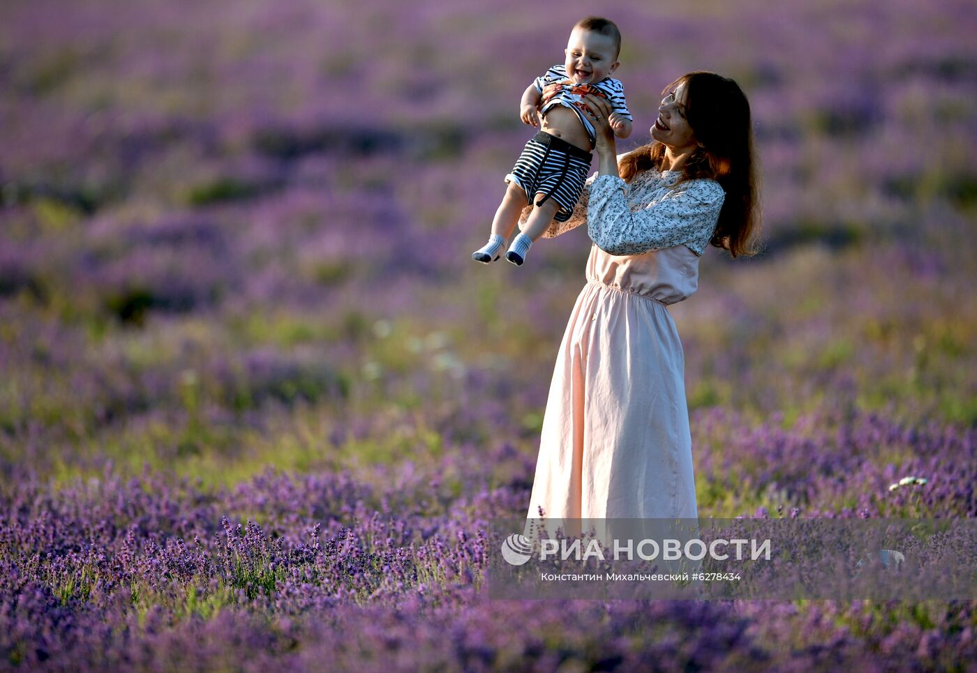 Лавандовые поля в Крыму