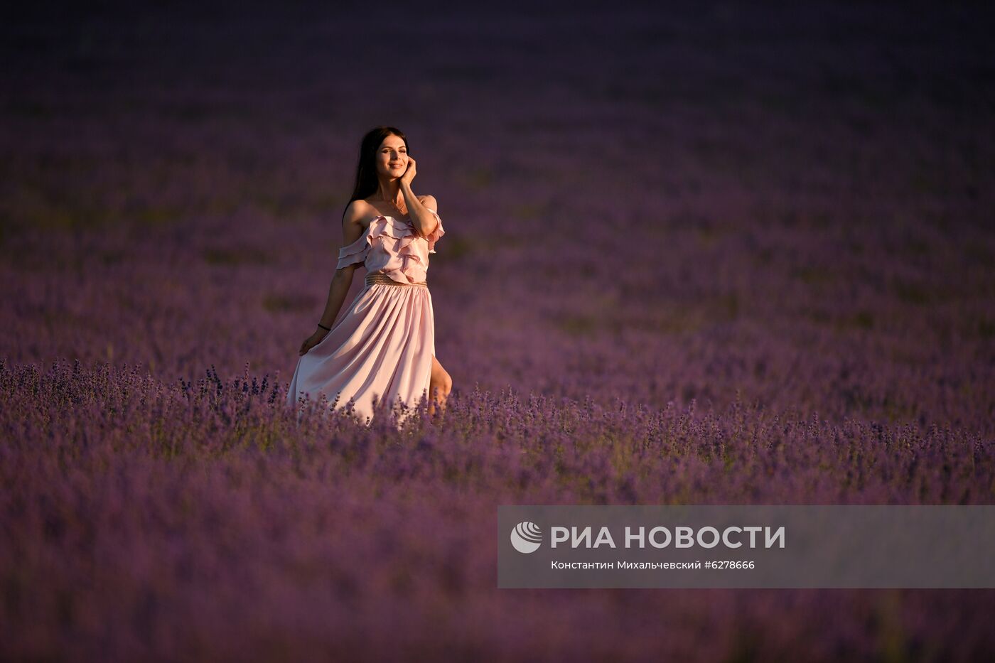 Лавандовые поля в Крыму