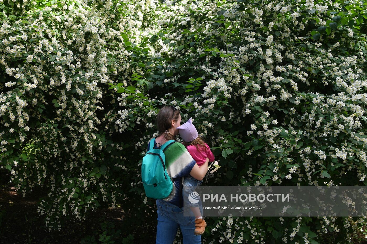 Парк "Дубки" в Москве