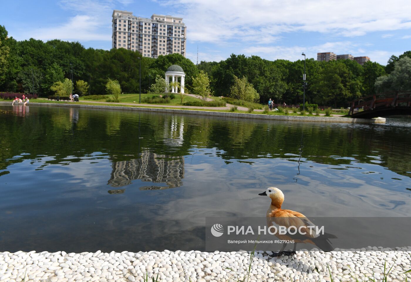 Парк "Дубки" в Москве