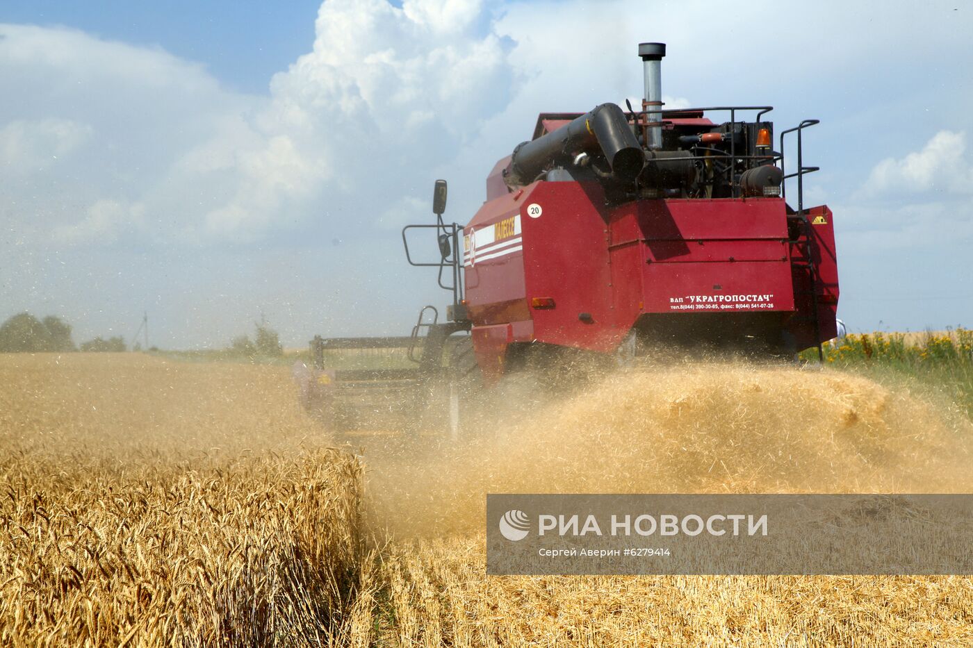 Начало жатвы в Донецкой области