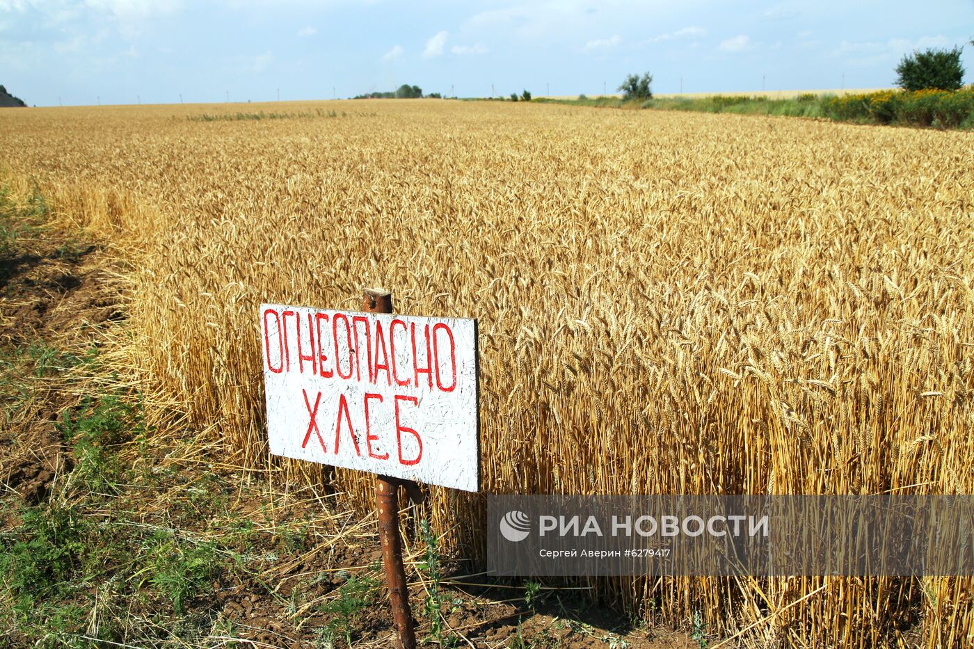 Начало жатвы в Донецкой области