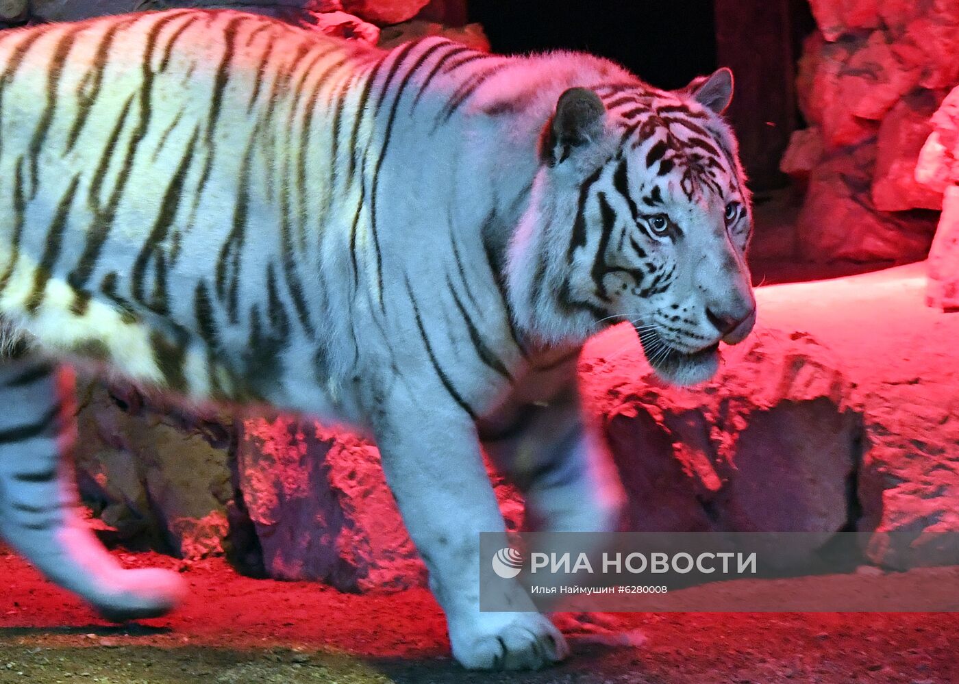 Красноярский парк флоры и фауны "Роев ручей" открылся для посетителей 
