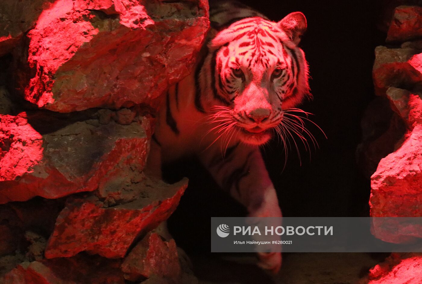 Красноярский парк флоры и фауны "Роев ручей" открылся для посетителей 