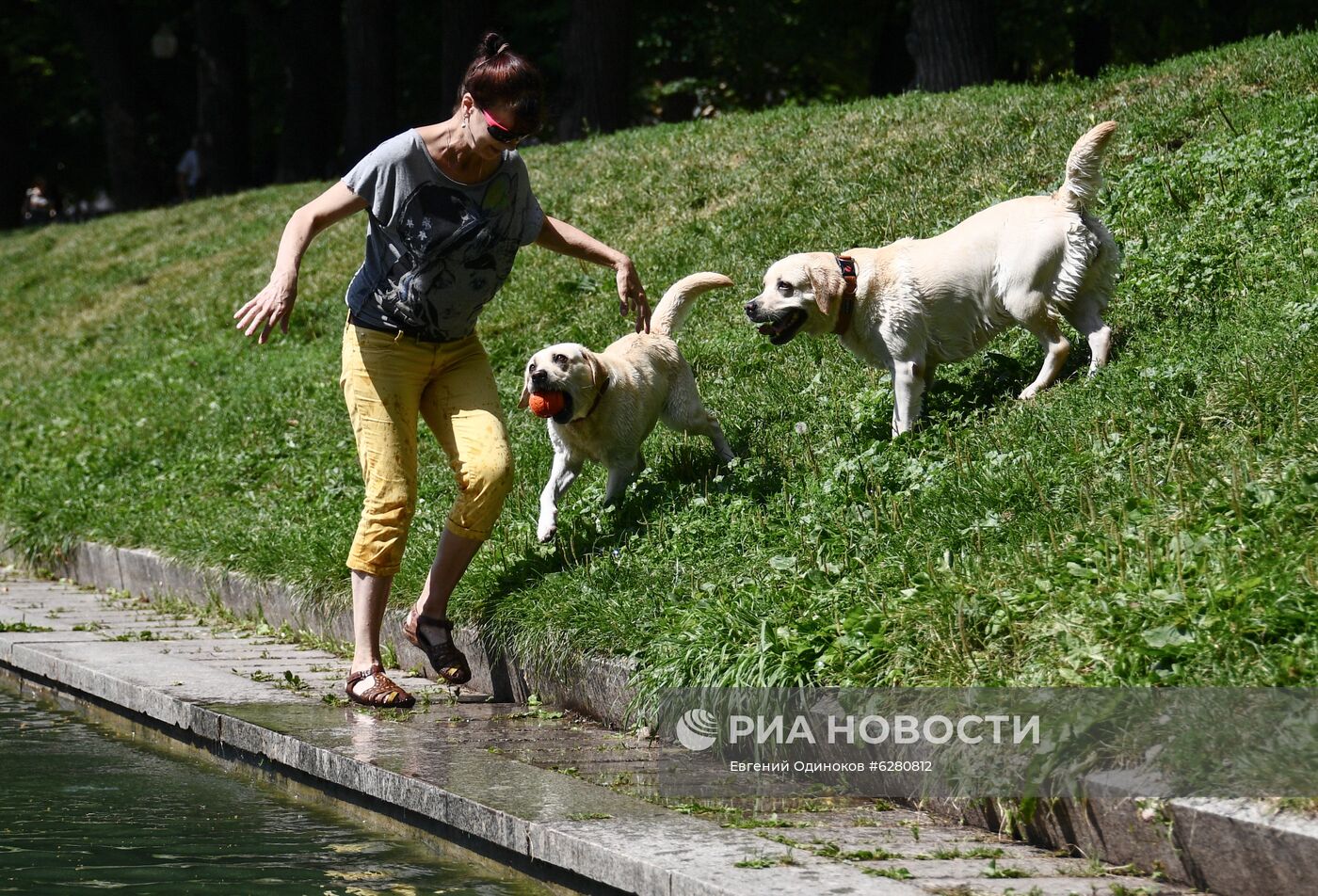 Жара в Москве