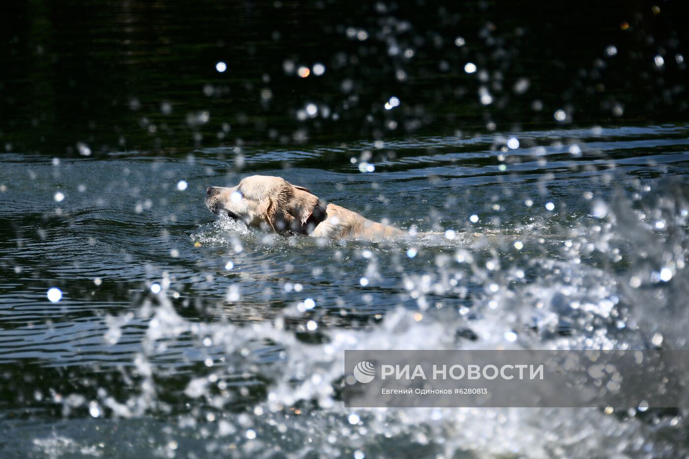 Жара в Москве