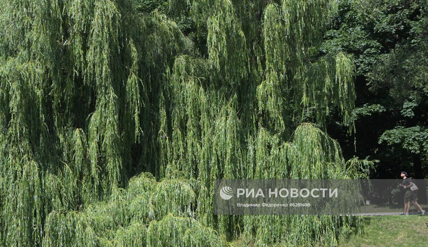 Жаркая погода в Москве