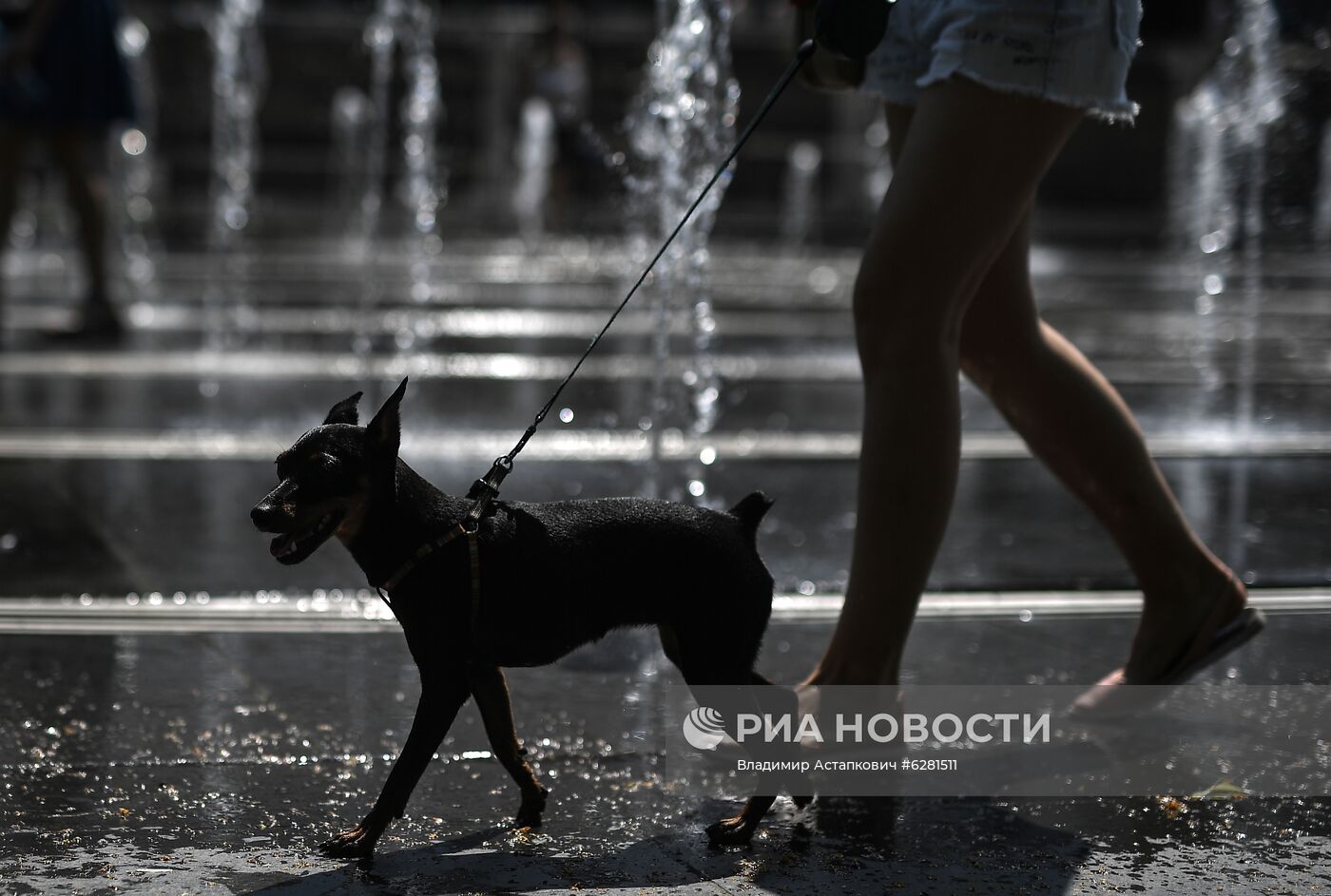 Жаркая погода в Москве