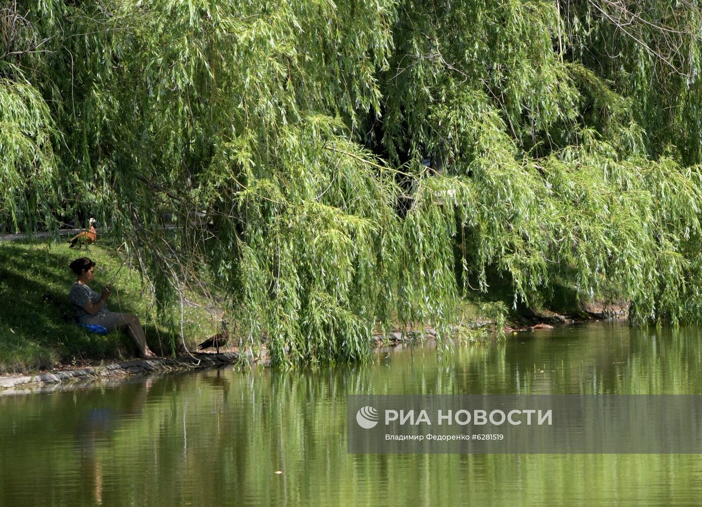 Жаркая погода в Москве