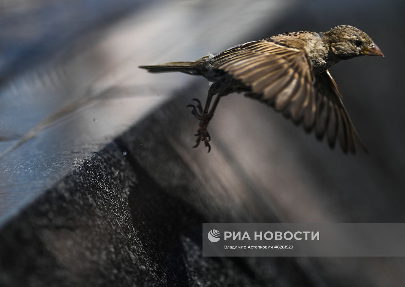 Жаркая погода в Москве