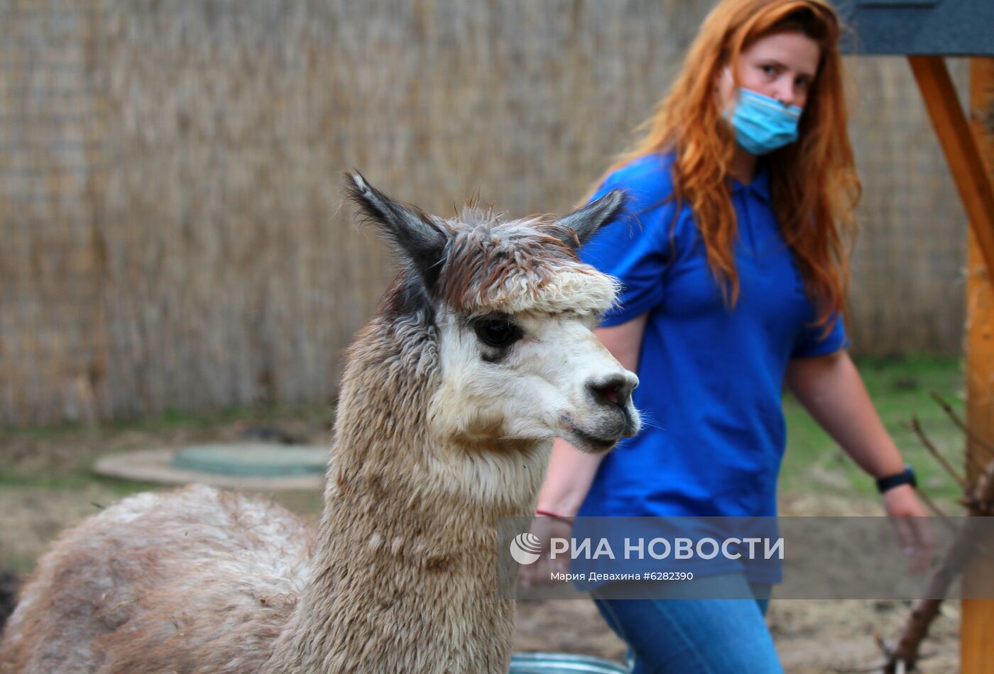 Летний отдых детей в Москве