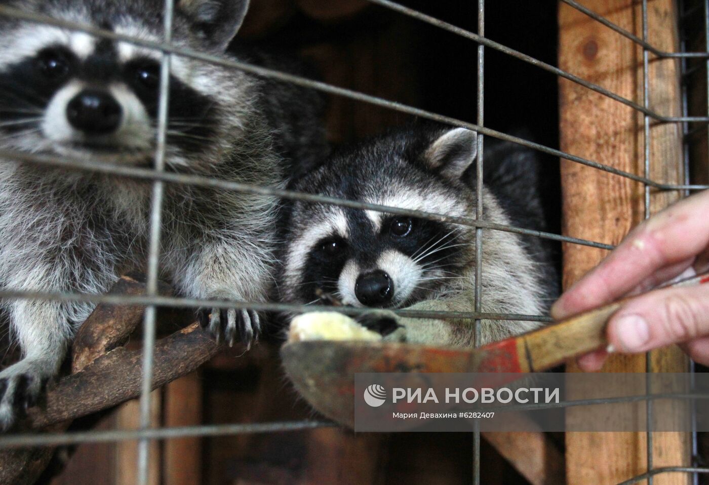 Летний отдых детей в Москве