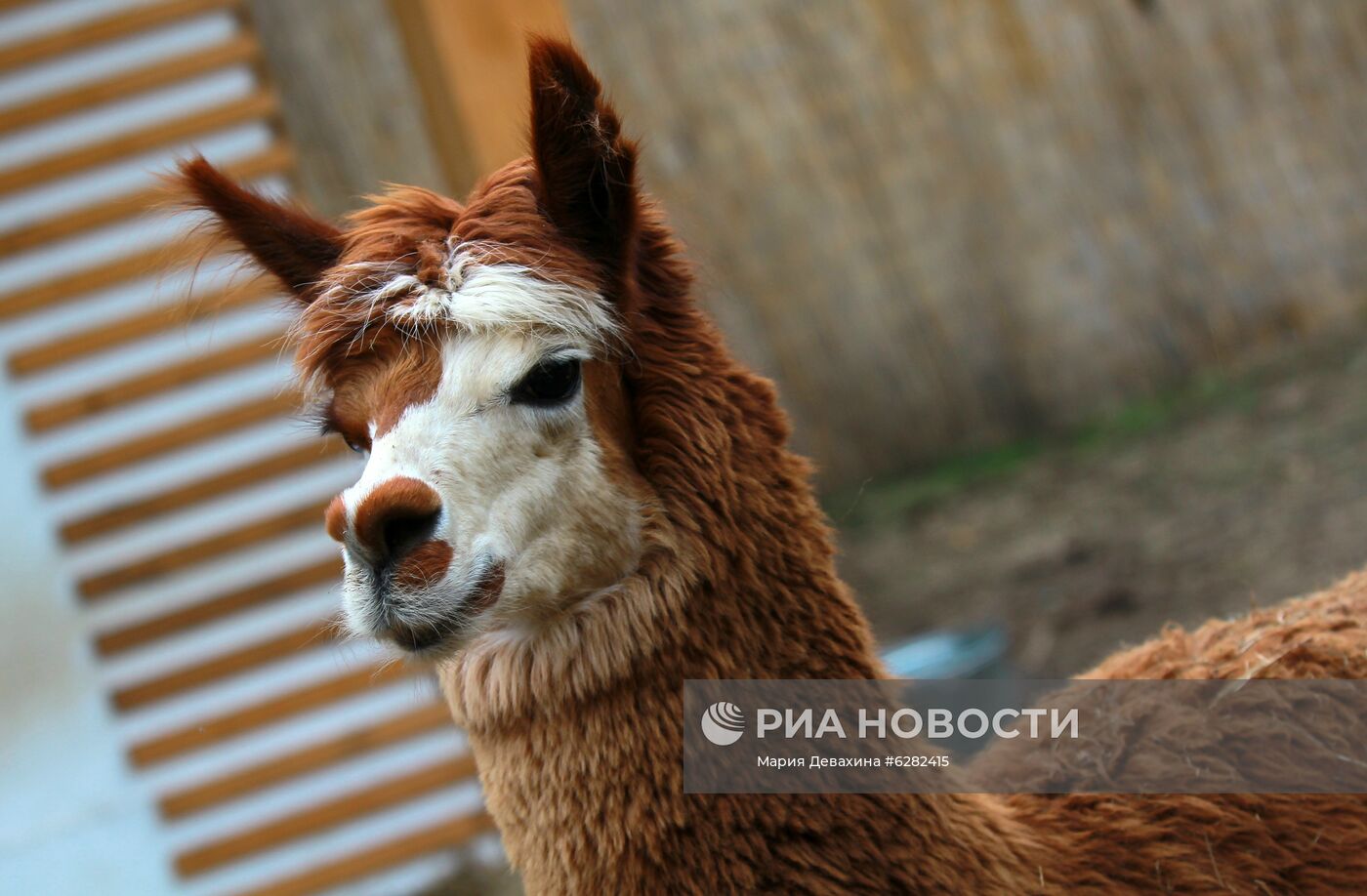 Летний отдых детей в Москве