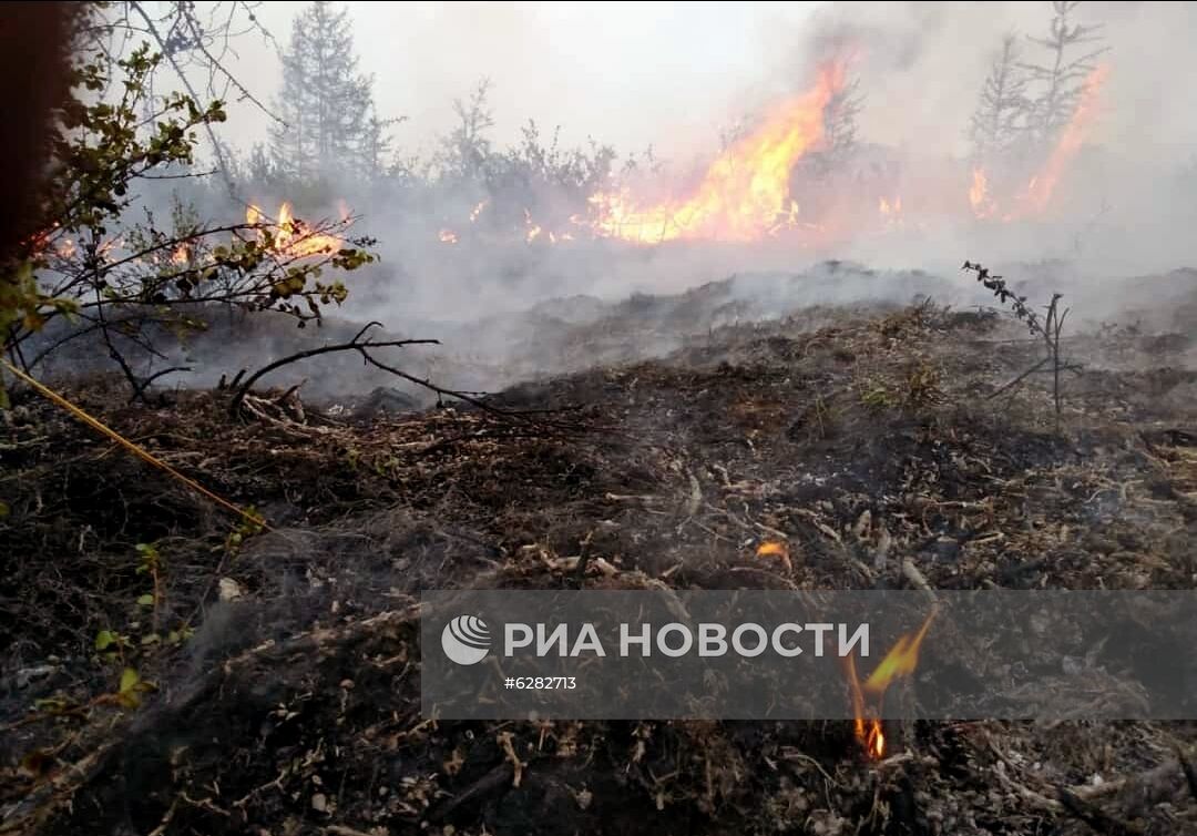 Лесные пожары в регионах России