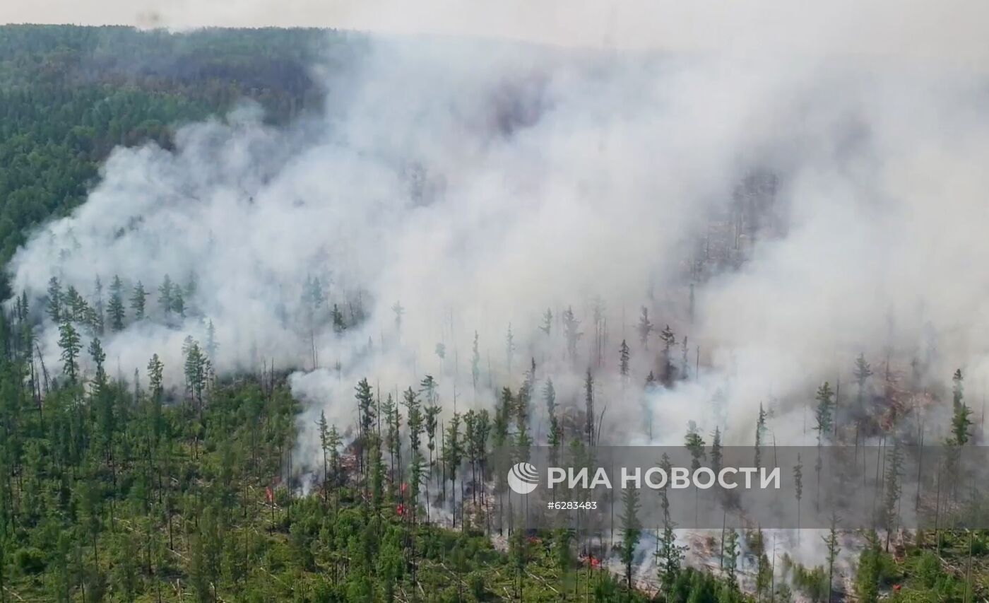 Лесные пожары в регионах России