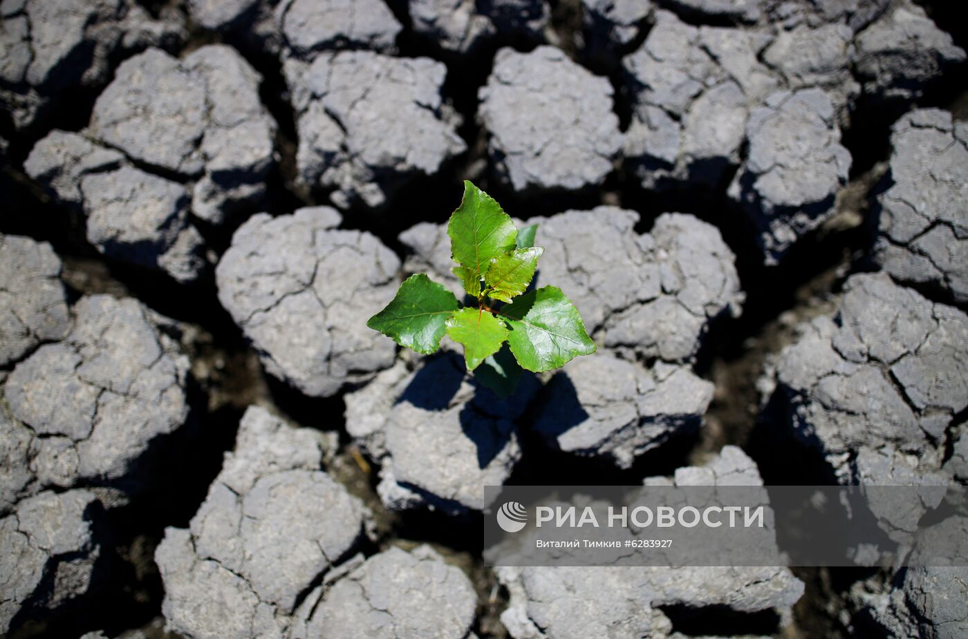 Засуха в Краснодарском крае