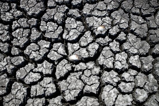 Засуха в Краснодарском крае