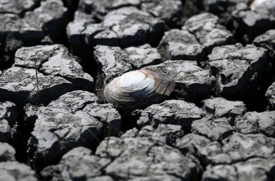 Засуха в Краснодарском крае