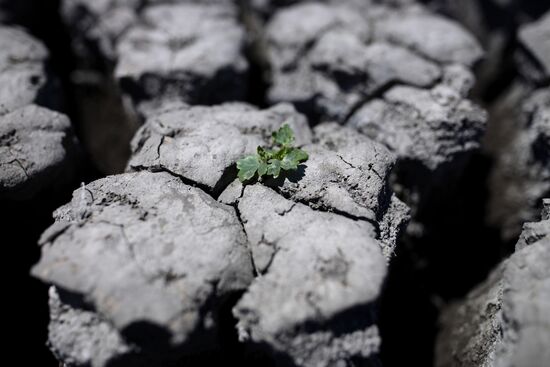 Засуха в Краснодарском крае