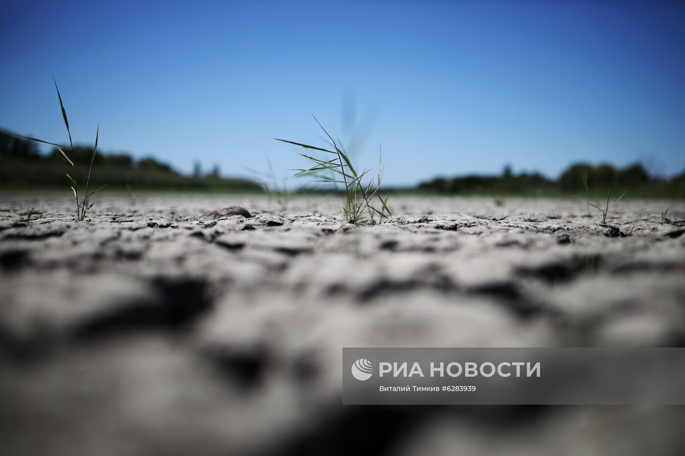 Засуха в Краснодарском крае