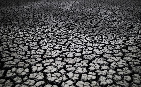 Засуха в Краснодарском крае