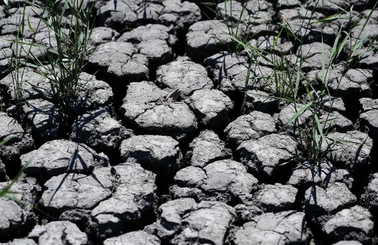Засуха в Краснодарском крае