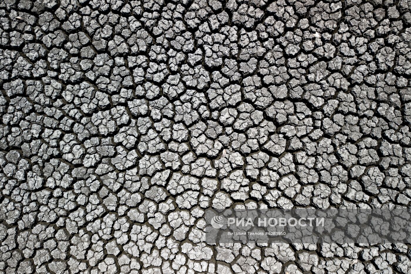 Засуха в Краснодарском крае