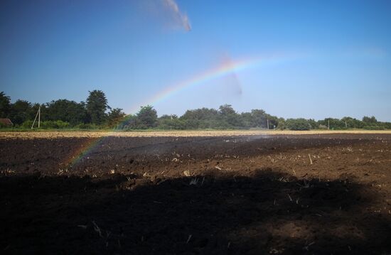 Засуха в Краснодарском крае
