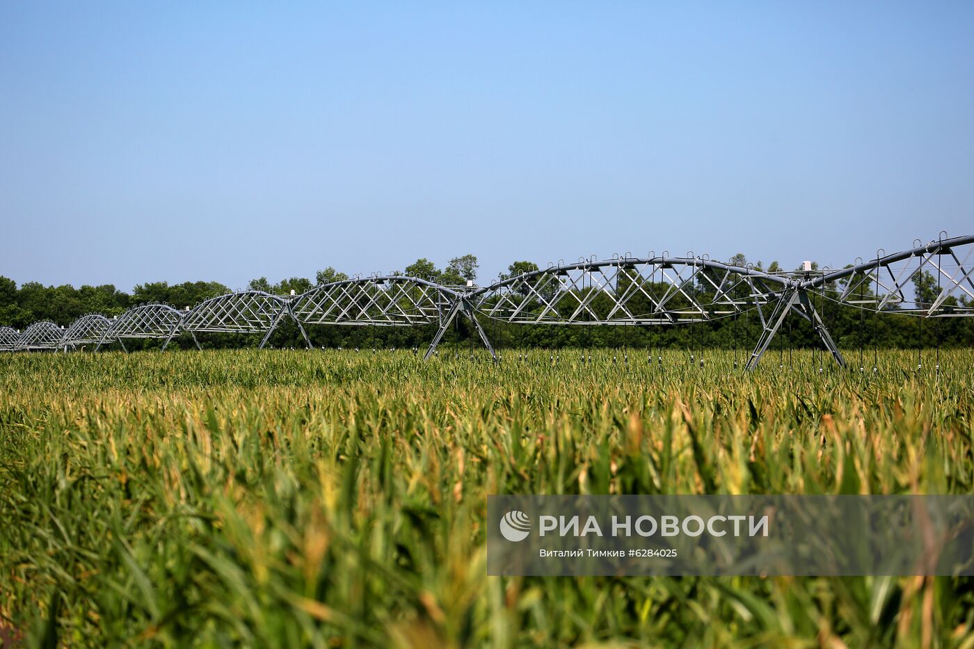 Засуха в Краснодарском крае