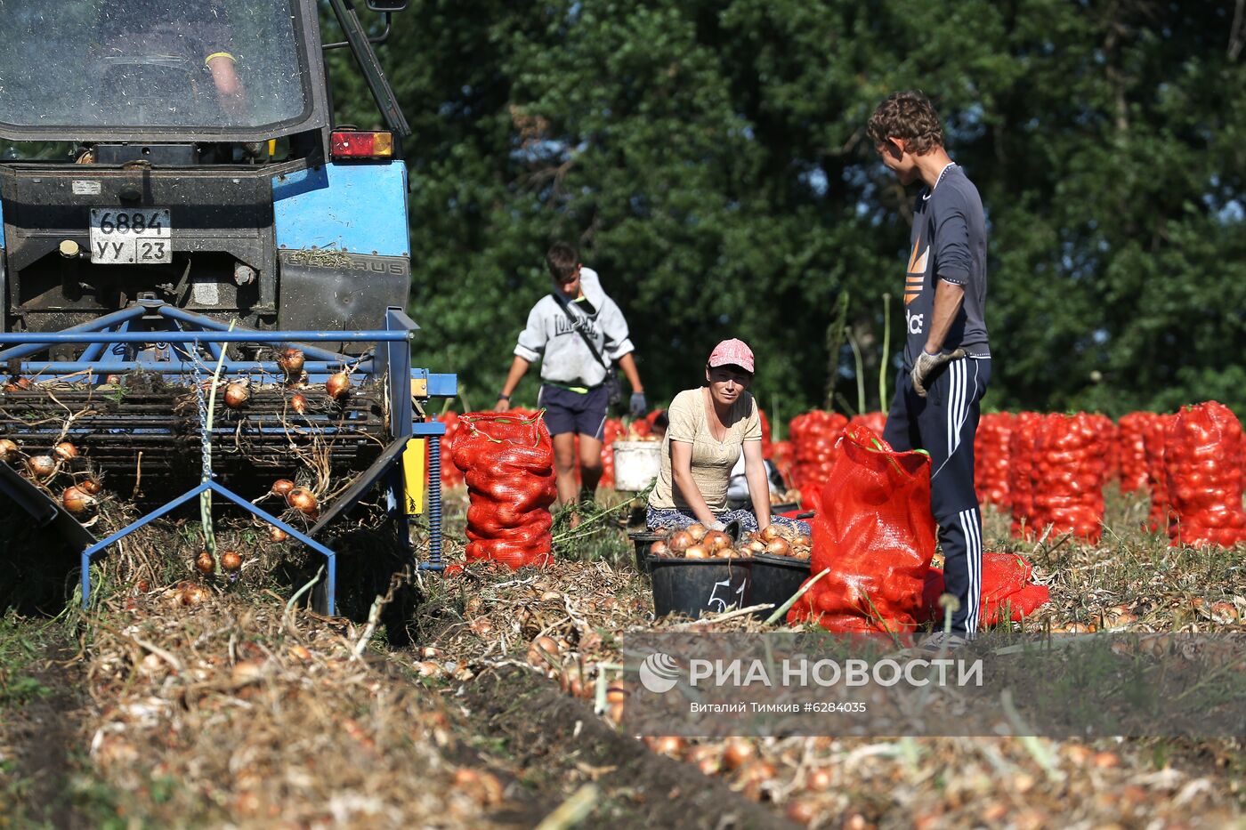 Засуха в Краснодарском крае