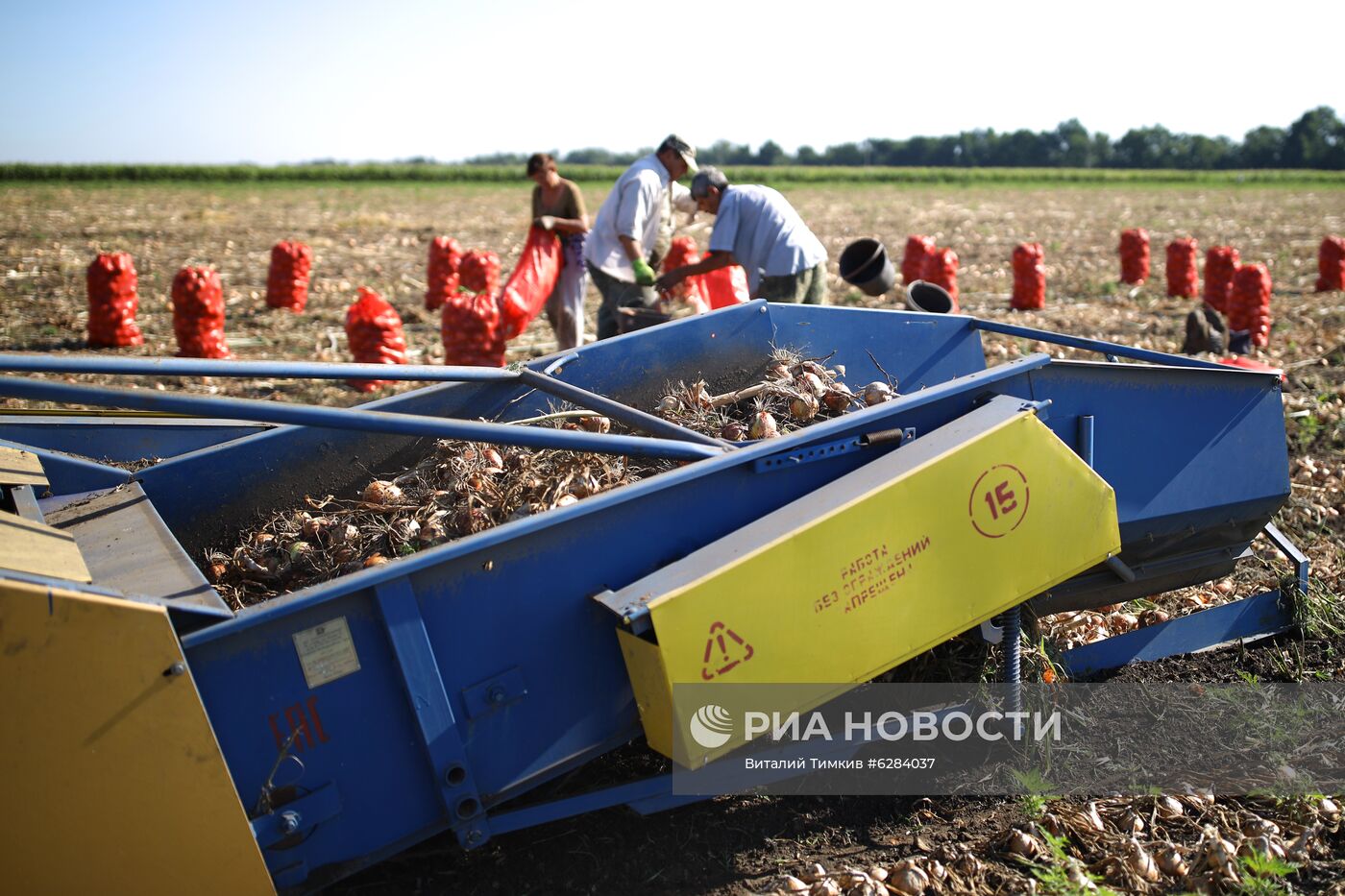 Засуха в Краснодарском крае