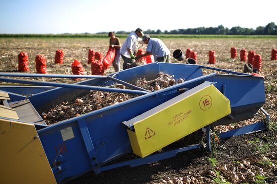 Засуха в Краснодарском крае