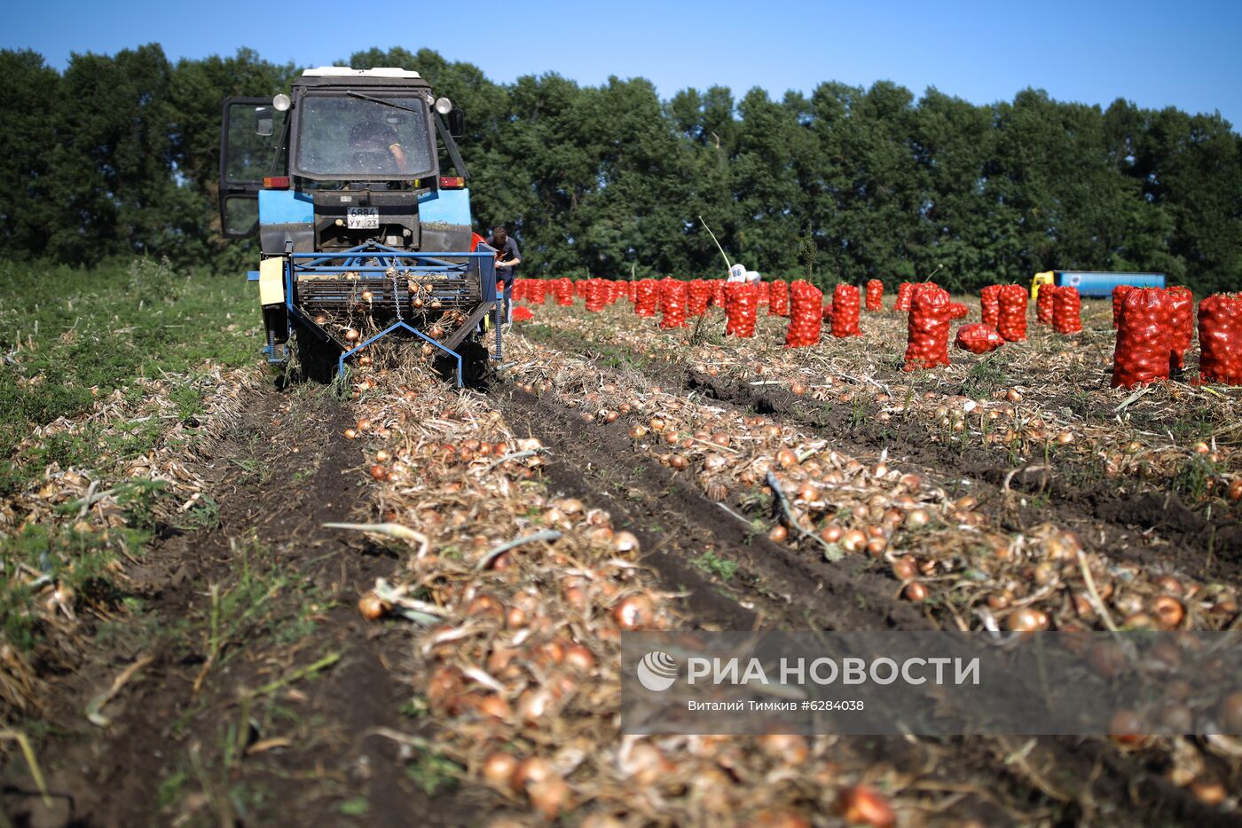 Засуха в Краснодарском крае