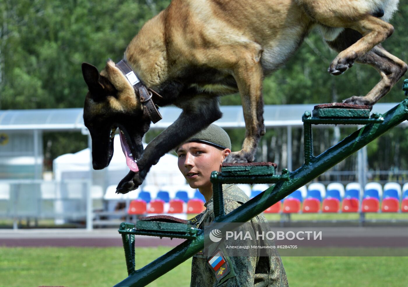 Всеармейский этап международного конкурса кинологов "Верный друг-2020"