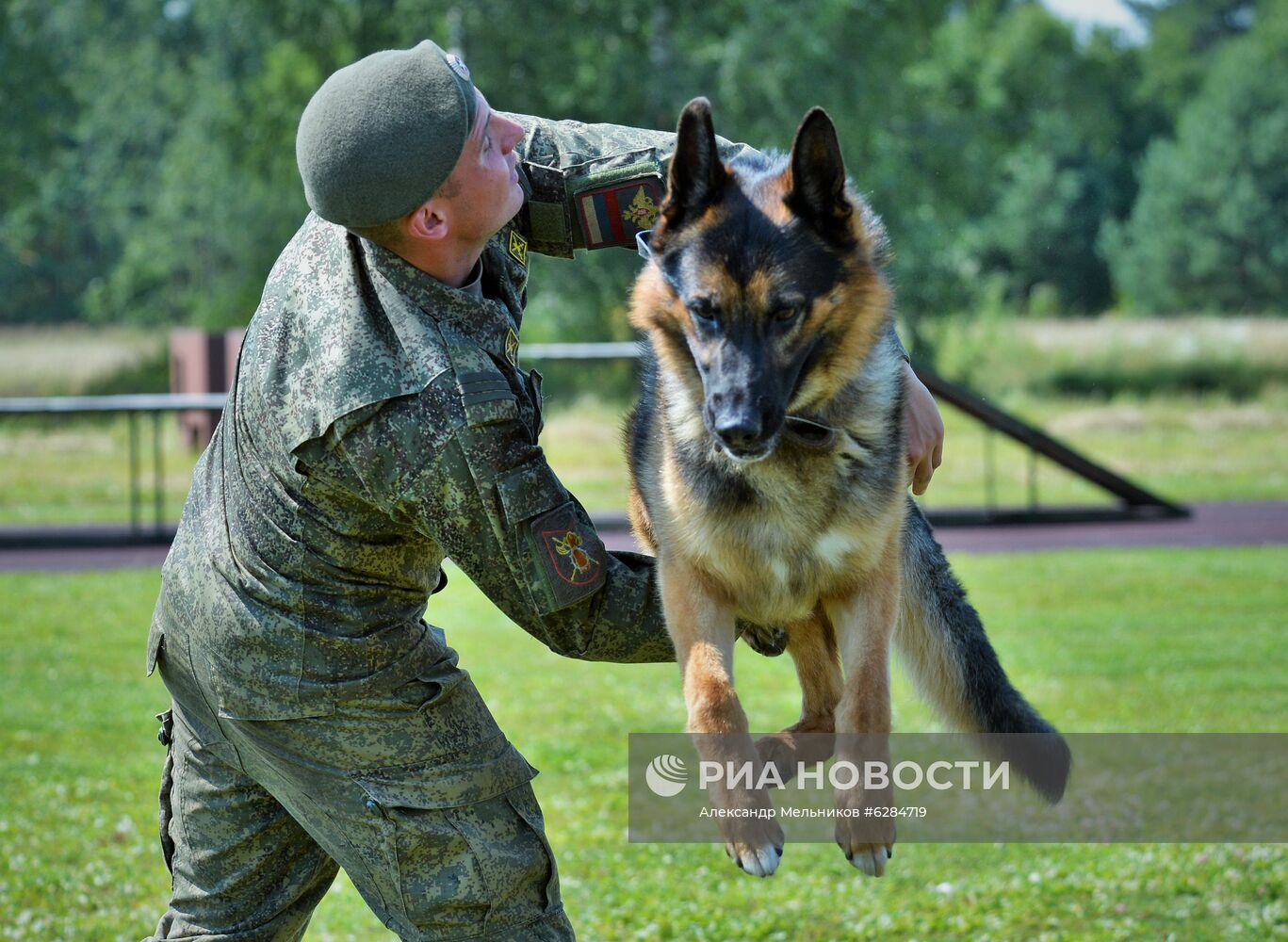 Всеармейский этап международного конкурса кинологов "Верный друг-2020"