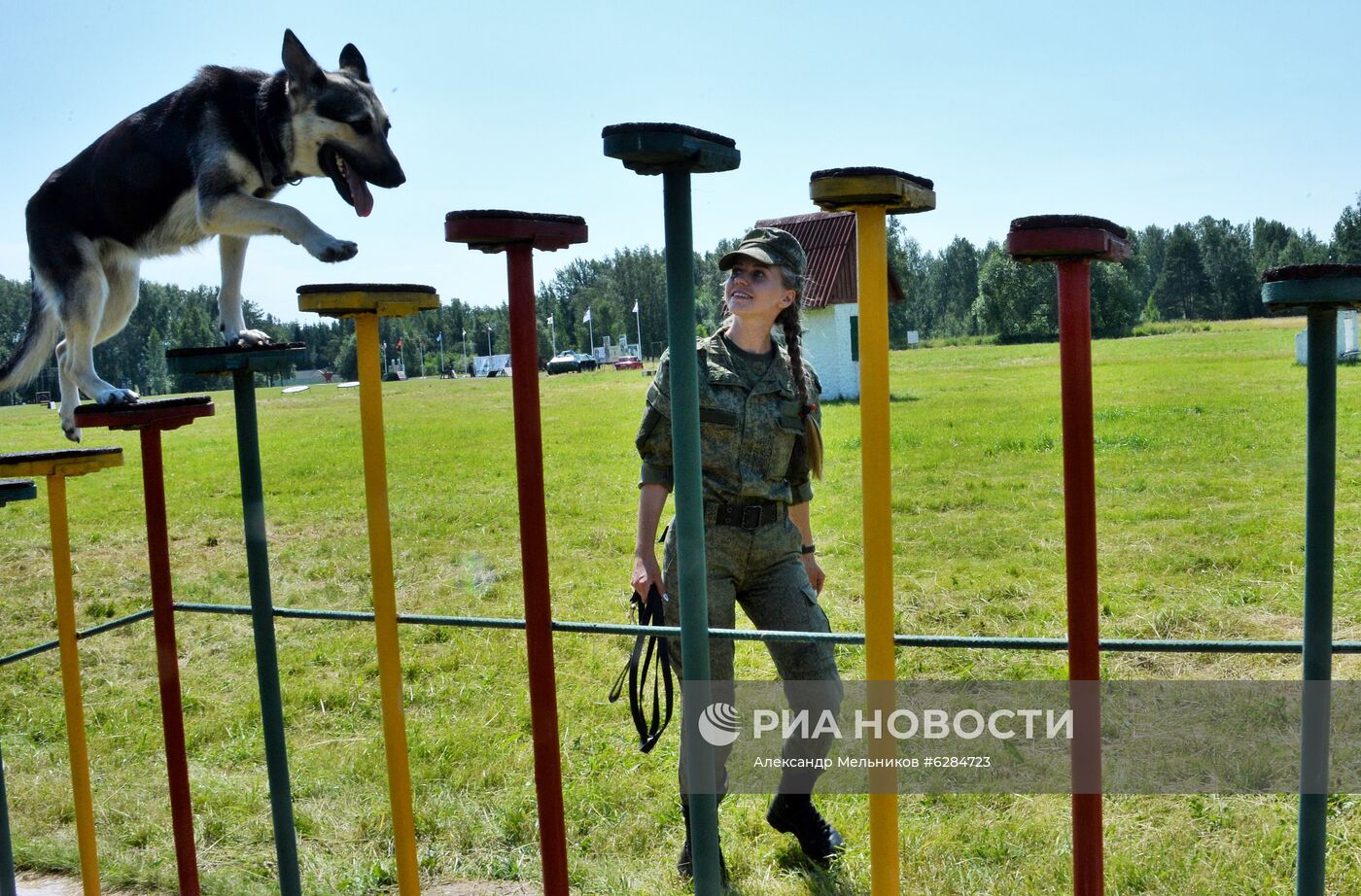 Всеармейский этап международного конкурса кинологов "Верный друг-2020"