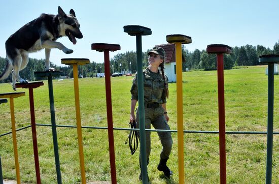 Всеармейский этап международного конкурса кинологов "Верный друг-2020"