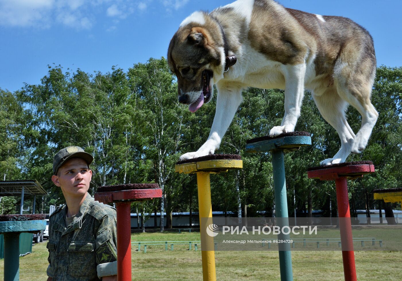 Всеармейский этап международного конкурса кинологов "Верный друг-2020"