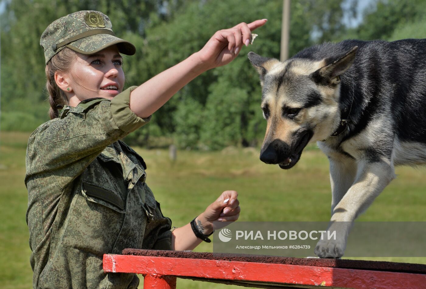 Всеармейский этап международного конкурса кинологов "Верный друг-2020"