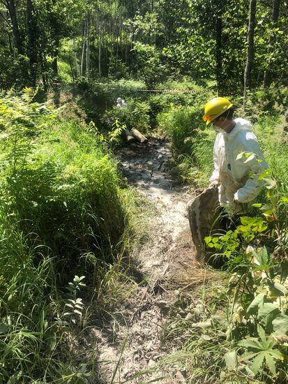 Нефтепродукты попали в озеро Голое в Хабаровском крае