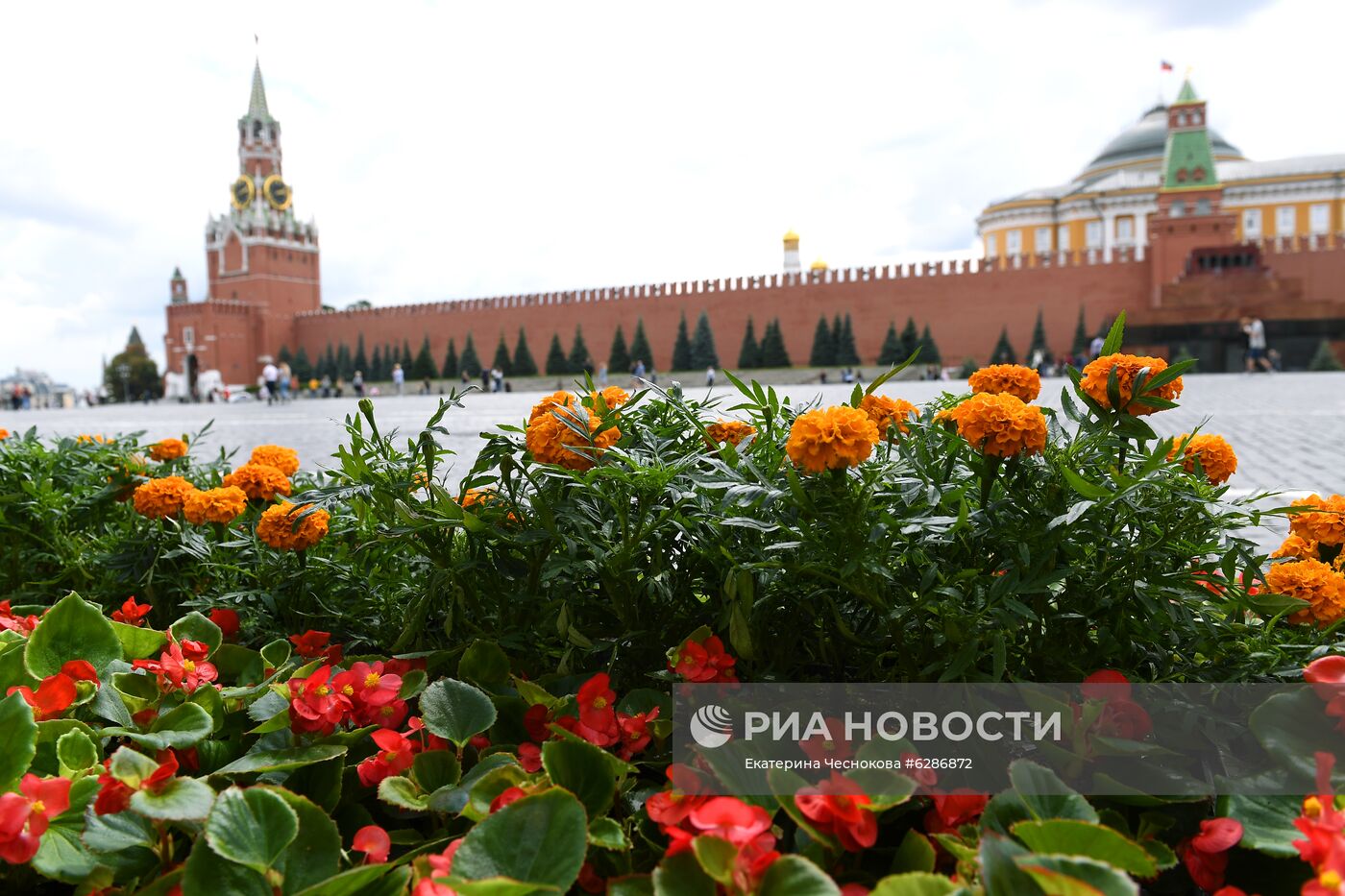 Фестиваль цветов в ГУМе 