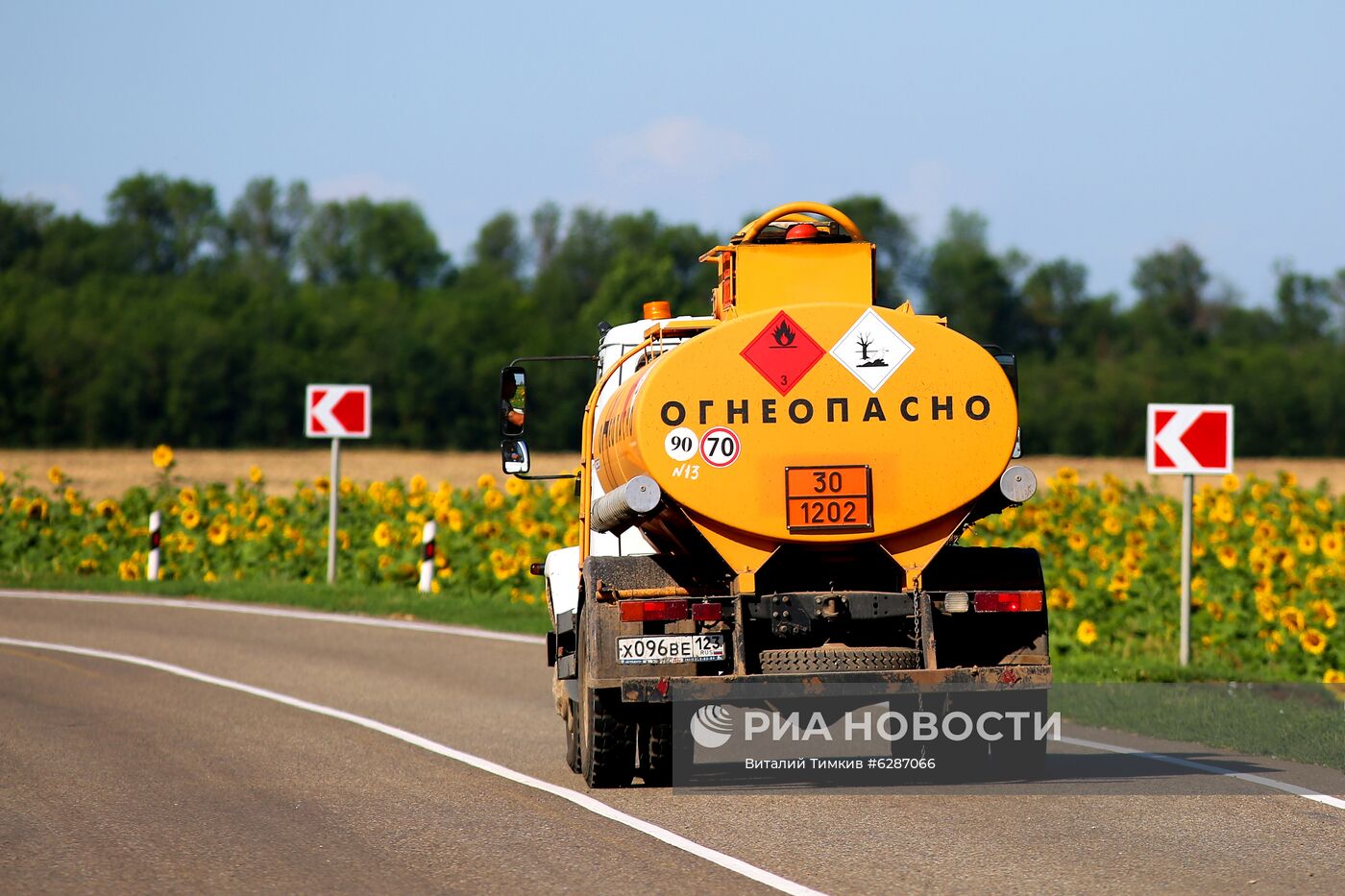 Поля с подсолнухами в Краснодарском крае