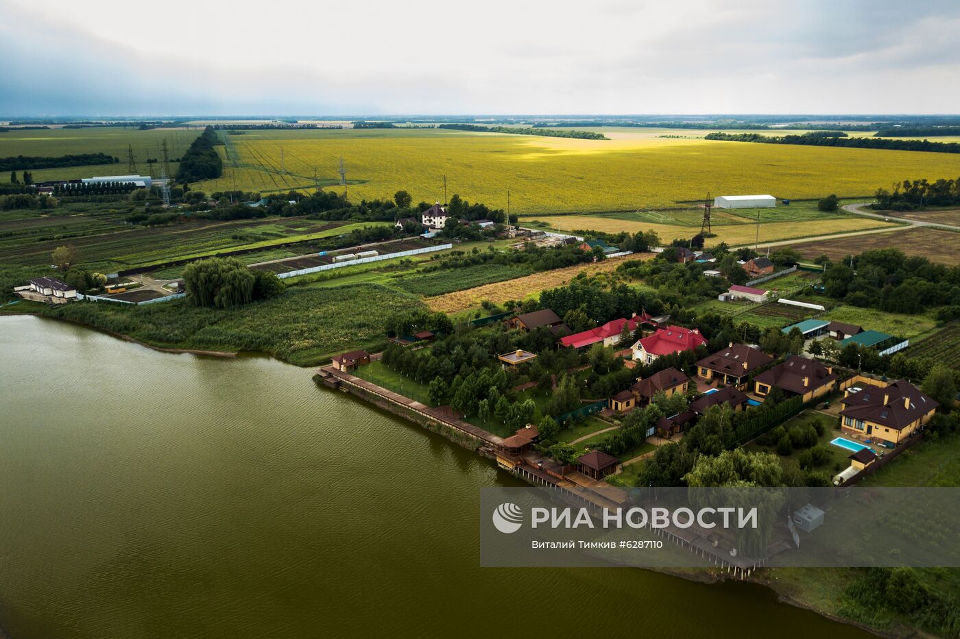 Поля с подсолнухами в Краснодарском крае