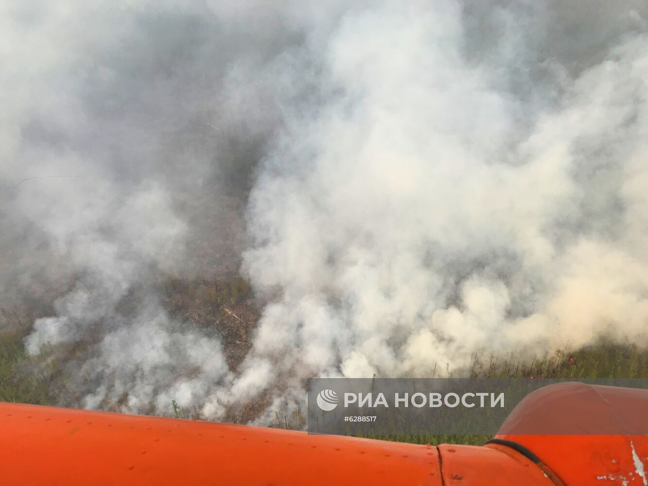 Лесные пожары в регионах России