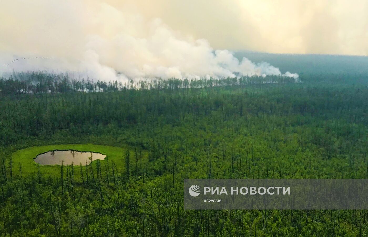 Лесные пожары в регионах России